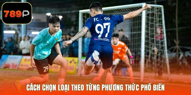 Cách chọn loại theo từng phương thức phổ biến