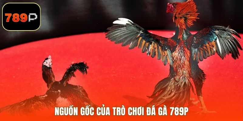 Nguồn gốc của trò chơi đá gà 789P
